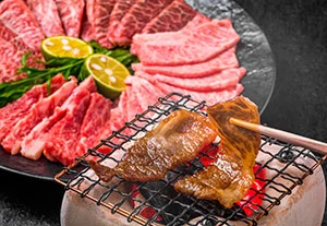 Best DiningPartners of Yakiniku in Japan